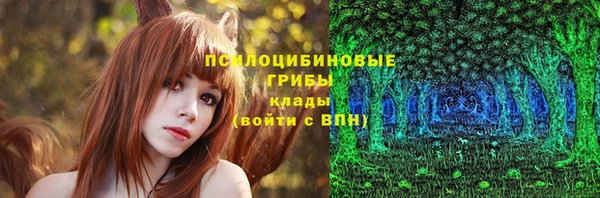 дживик Алзамай