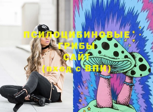 амф Алексеевка