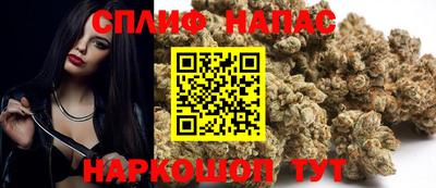 гашик Абинск