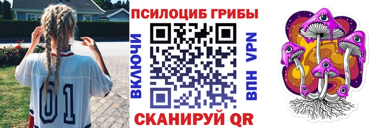 цены наркотик  Алексеевка  Галлюциногенные грибы мицелий 