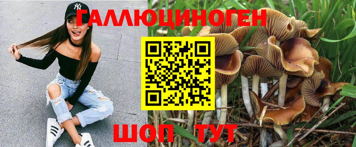 Галлюциногенные грибы ЛСД  Галлюциногенные грибы прущие грибы  что такое наркотик  Вход с VPN  Алексеевка 