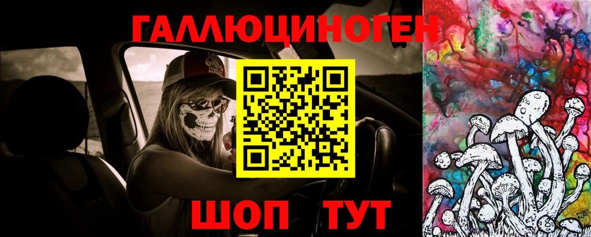 Псилоцибиновые грибы прущие грибы Алексеевка
