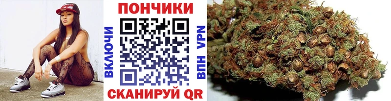 ОМГ ОМГ   купить   Алексеевка  Марихуана план 